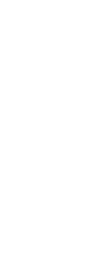 Seo Text